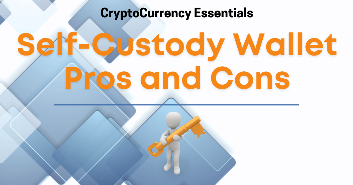 Self Custody Wallet Pros and Cons